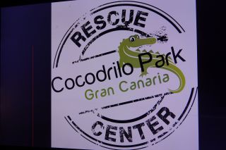 GC-Crocodilo Park 2020-094.JPG